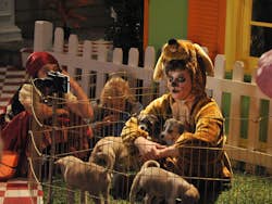 Modern Family