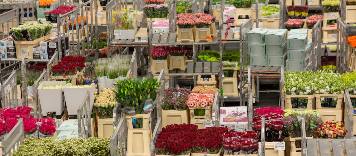 Verdens største blomstermarked