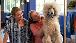 Den store hundedyst