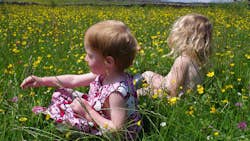 Kæmpefamilien på gården
