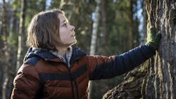 Valdes Jul - Skovens Vogter