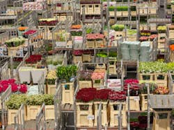 Verdens største blomstermarked