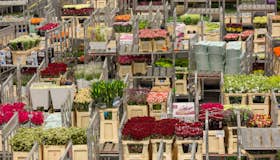 Verdens største blomstermarked