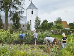 Vesters verden