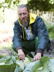 Hjem til gården