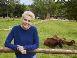 Hjem til gården