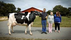 Landmand søger kærlighed