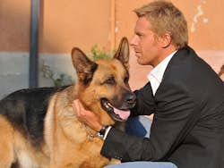 Kommissær Rex