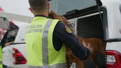 Grænsepatruljen Australien